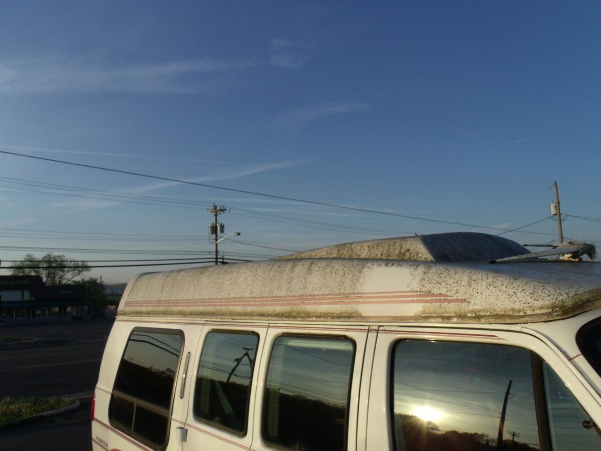A van left out under the trees, before
